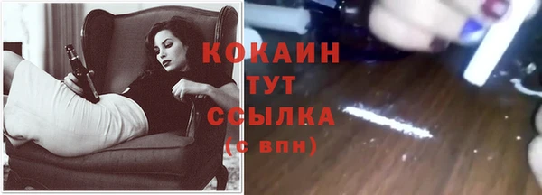 твердый Армянск