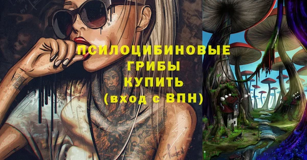 ГАЛЛЮЦИНОГЕННЫЕ ГРИБЫ Наволоки